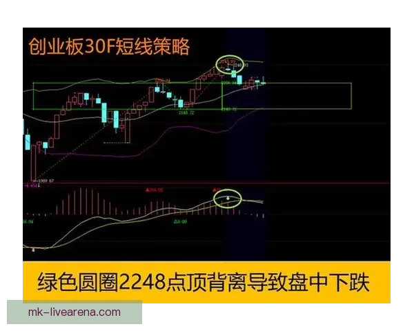 精准体育竞猜分析与赛前预测策略全方位解析